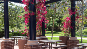 Anteater Courtyard Virtual Background