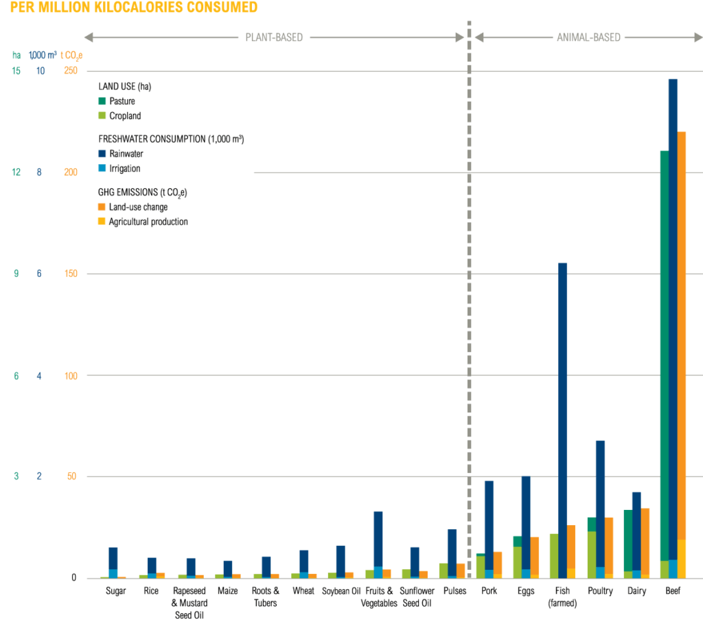 Science of Environmental Graphiti - Animal vs. Plant-Based Food - Resource Impact
