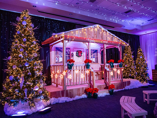 Winter Wonderland decor
